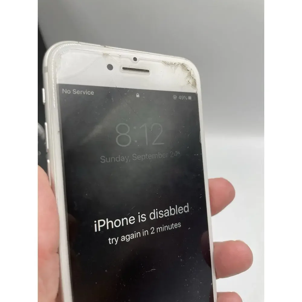 Apple iPhone 6 - Works But Locked
